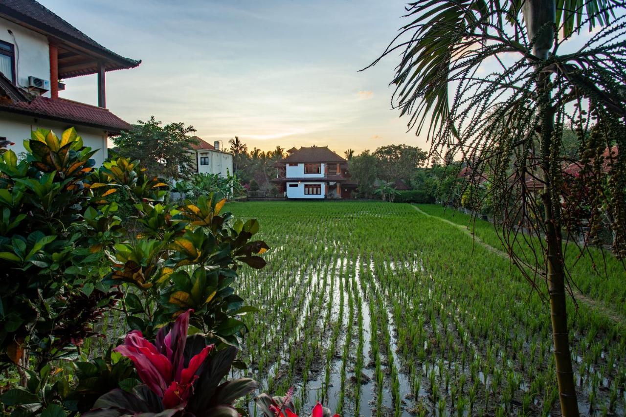 Nick's pensión Hotel Ubud Exterior foto